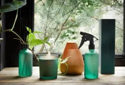 Olie Moments Forest Breeze